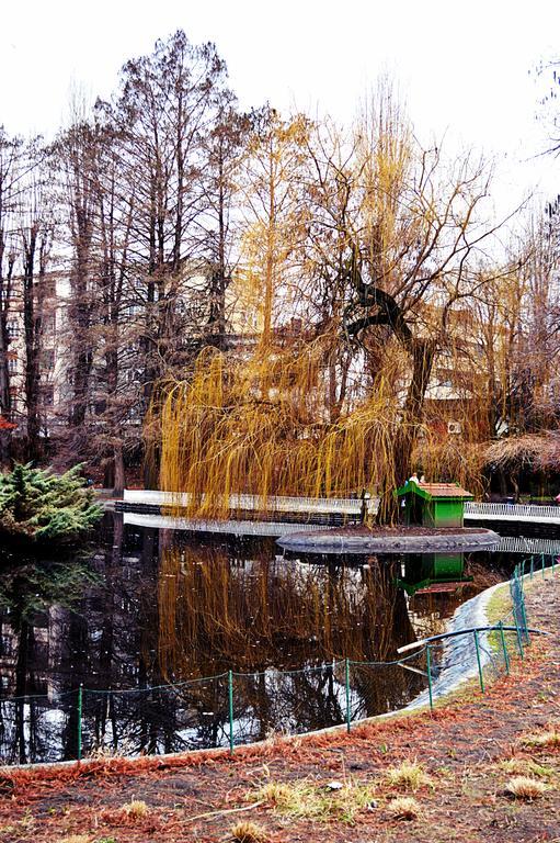 Riverside Gem * Novi Sad
